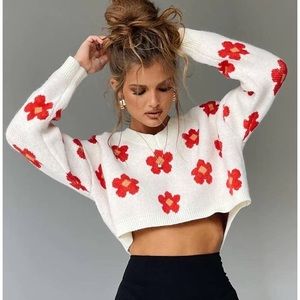 Princess Polly Cropped Sweater
